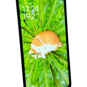 Amanet Cashbook | Amanet Online