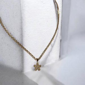 Amanet Cashbook | Amanet Online